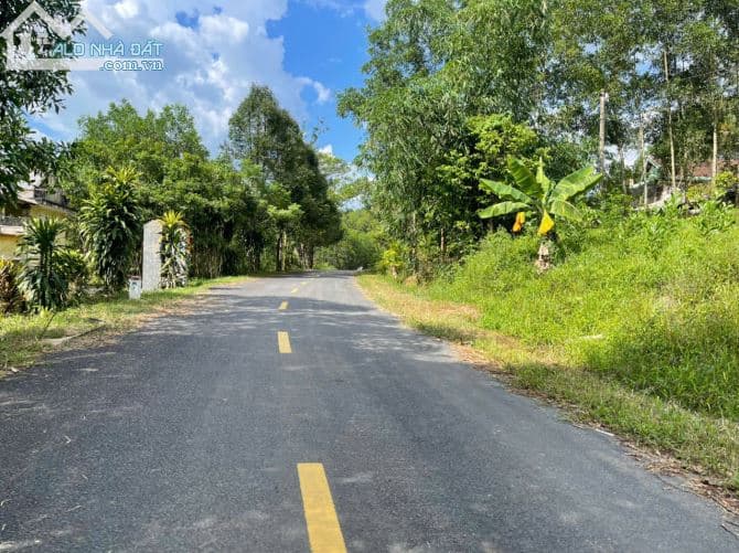 CHÍNH CHỦ BÁN LÔ ĐẤT ĐẸP – 1000M² MẶT TIỀN QUY HOẠCH 26M – TIỀM NĂNG SINH LỜI CỰC KHỦNG 2