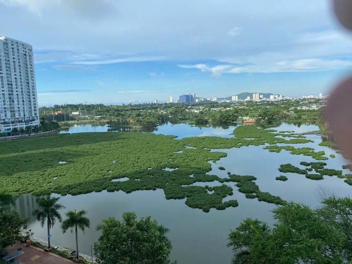Bán căn hộ chung cư Lakeside Apartment, Tp. Vũng Tàu, T. Bà Rịa - Vũng Tàu